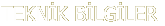 TEKN�K B�LG�LER 